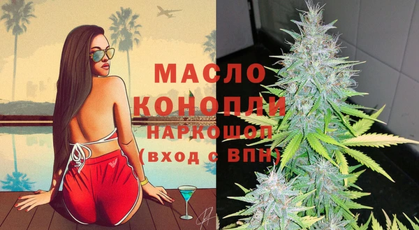 винт Инта